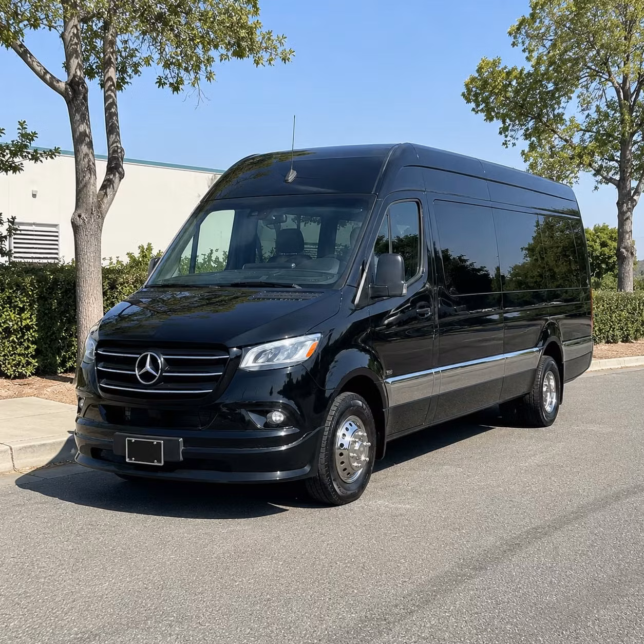 sprinter van with driver